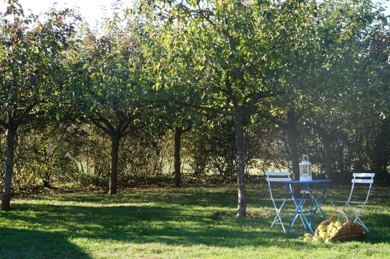 L'Escale Du Bocage Piscine Couverte Chauffee La Flocellière Екстериор снимка